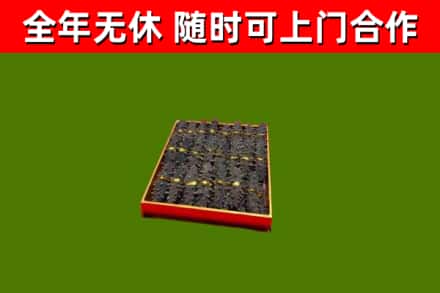 梨树回收海参